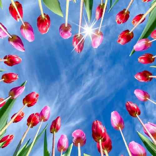 امیررضا سعیدی نیا یکی اینجا اسیره دلش داره میمیره